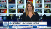 Obrazek
