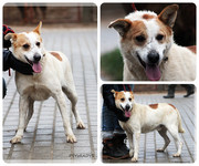 Be-Funky-collage-22.jpg&key=fc5e63d8530f