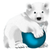 Magic-Snowkitpudnpolarbear