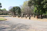 IMG-0839