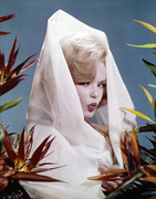joey-heatherton-c31