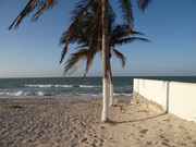 Un-d-a-en-la-playa-en-la-tarde-9