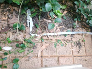 photo_2021-07-28_08-31-53