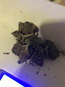 49EC54A0-DFD5-41AE-B180-608C5ECB5619