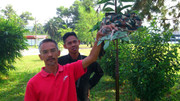 Quarters-PGK-280313-(2)