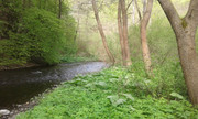 20200502-100004.jpg