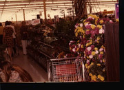 FB_IMG_16611071634681840