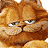 garfield_3
