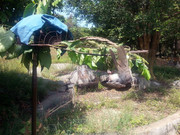 Kamunting-(4)
