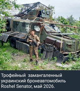 https://i.postimg.cc/gx5fDZPQ/photo-2026-05-28-00-38-52.jpg