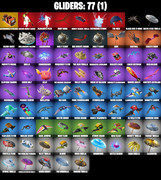gliders-comp