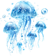 DWD-Fantastic-Water-World-Element-126