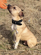 IMG_20230416_173222_957