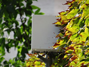 SC Via IV Novembre 1