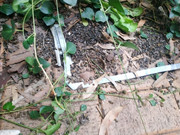 photo_2021-07-28_08-31-58