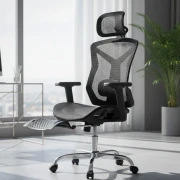 Hbada Ergonomic Chair