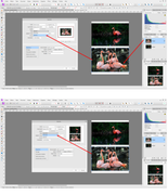 [Image: capture.png]