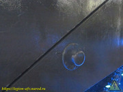 IMG-7553
