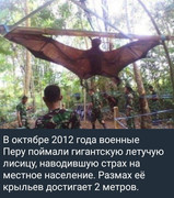 https://i.postimg.cc/gxTBX86Q/photo-2026-07-03-07-58-35.jpg