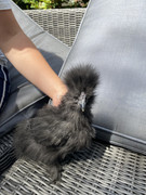 3FE521F3-53F1-4187-9646-F2CF34552930