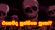 skeleton-meme.gif
