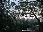 photo 29 2025 12 17 21 11 57