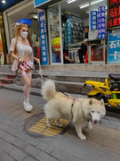 Momo-039-s-Night-Out-2