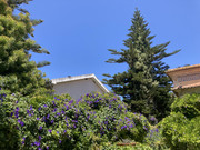 image00004