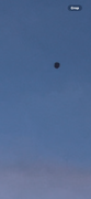 IMG-0535