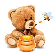 honey_bear 4