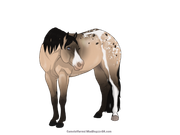 A0E52DFF-B86D-4F6E-AC18-FBF387399CB6