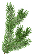 e23