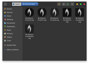 bl-favicons.png