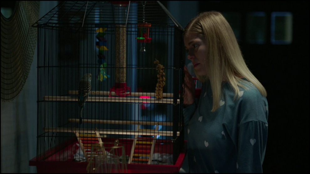 [Image: 6havpdn4o1n2.png]