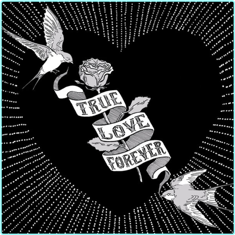 [Image: x1t6jvzaa1w6.png]