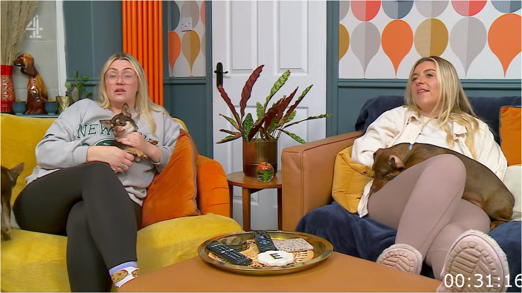 [Image: 5oo7lu8ph6fb.png]