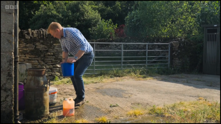 [Image: dg50u1ksx7bi.png]