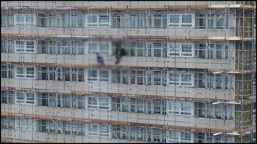 [Image: slr731qrvm6f.png]