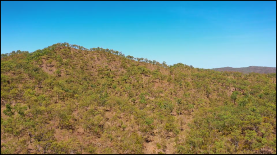 [Image: 2cjg6othg1k0.png]