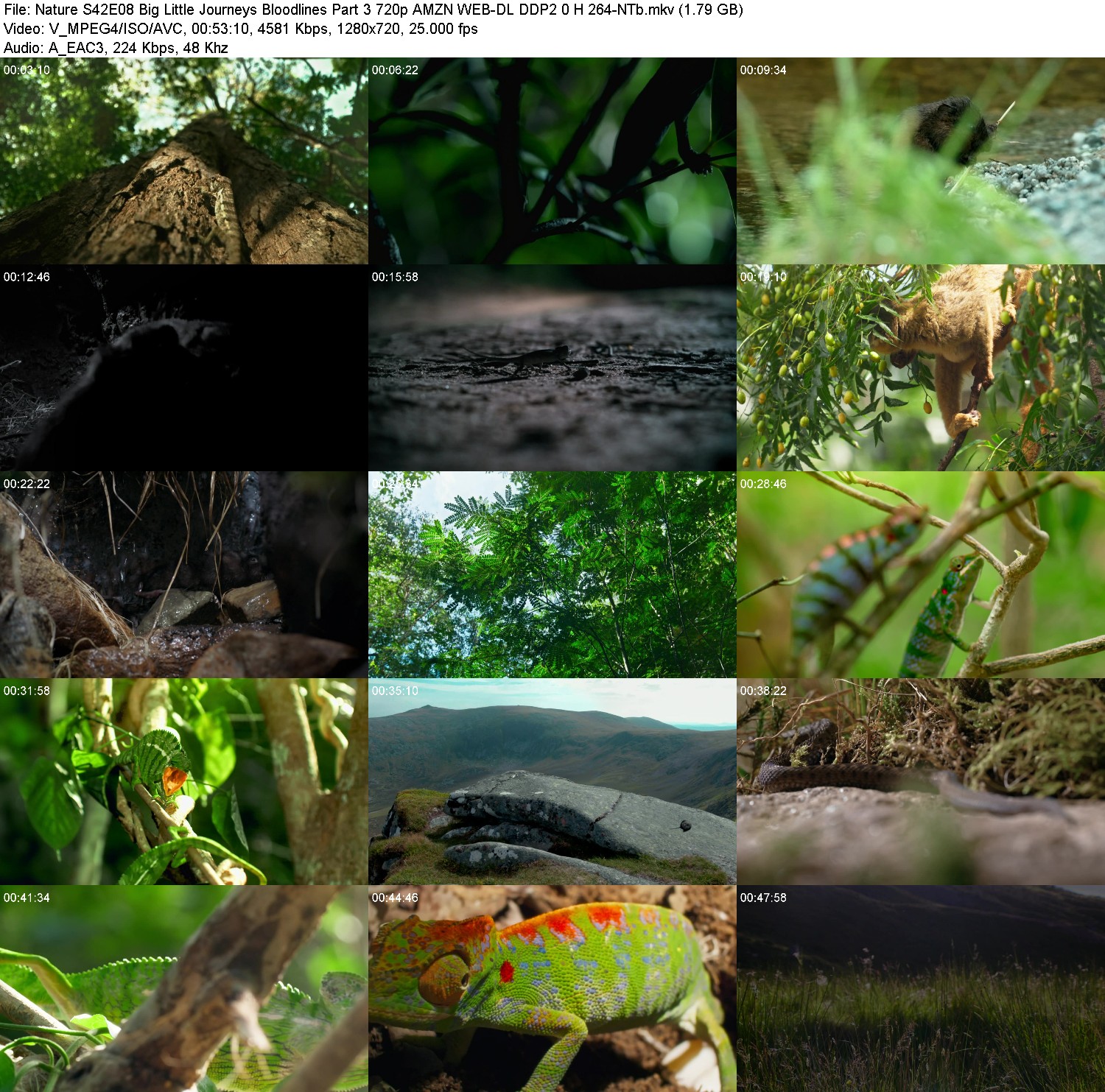 [Image: c0a9dr6snz2v.jpg]