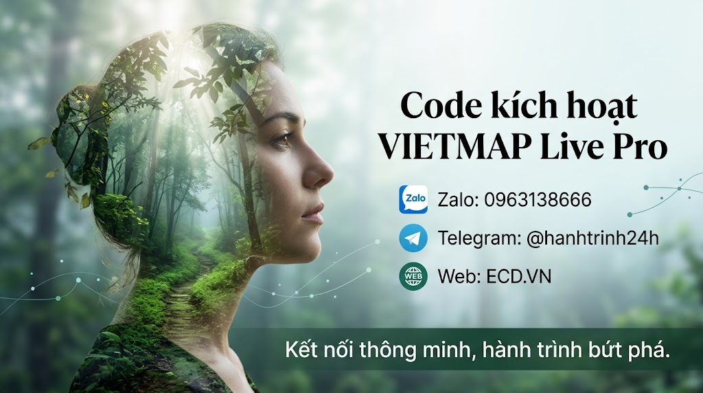 vietmap pro smart navigation
