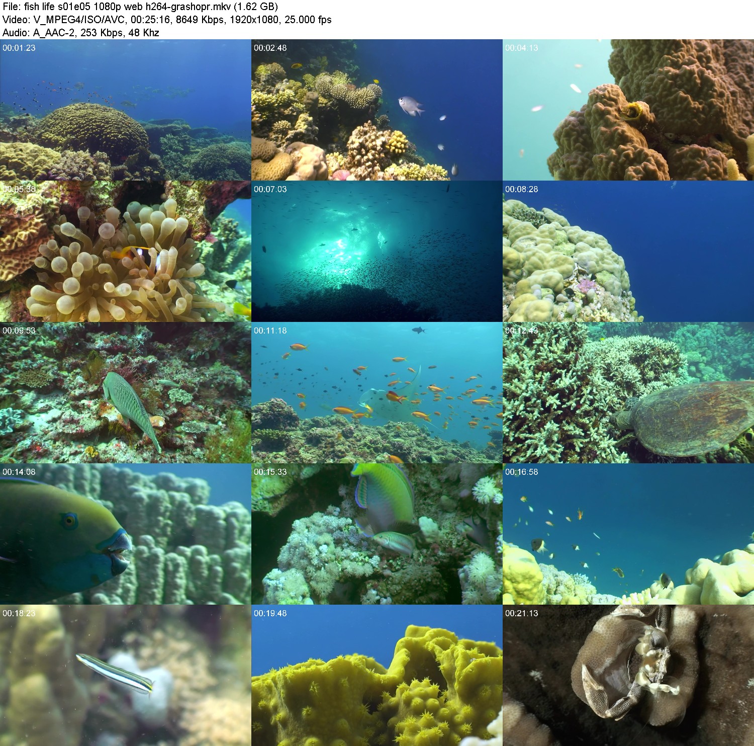 [Image: s9rjl8pfbe24.jpg]