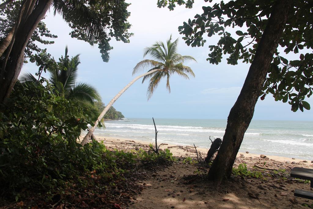 DE TORTUGAS Y PEREZOSOS. COSTA RICA 2019 - Blogs de Costa Rica - DÍA 5: PARQUE NACIONAL CAHUITA (7)
