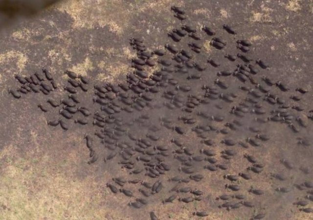 Google-Earth-13
