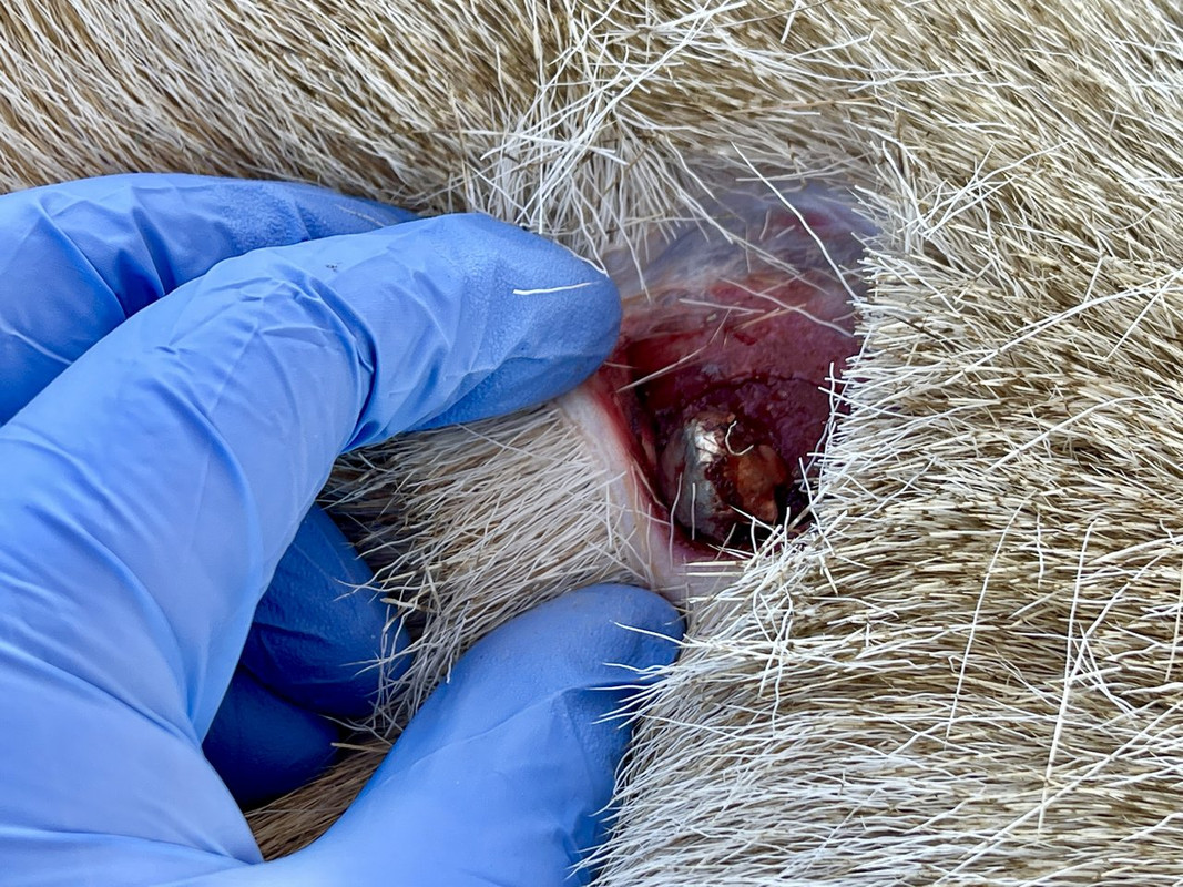 61D97CF2-2EEB-413F-B169-5A1A9E0BF35D