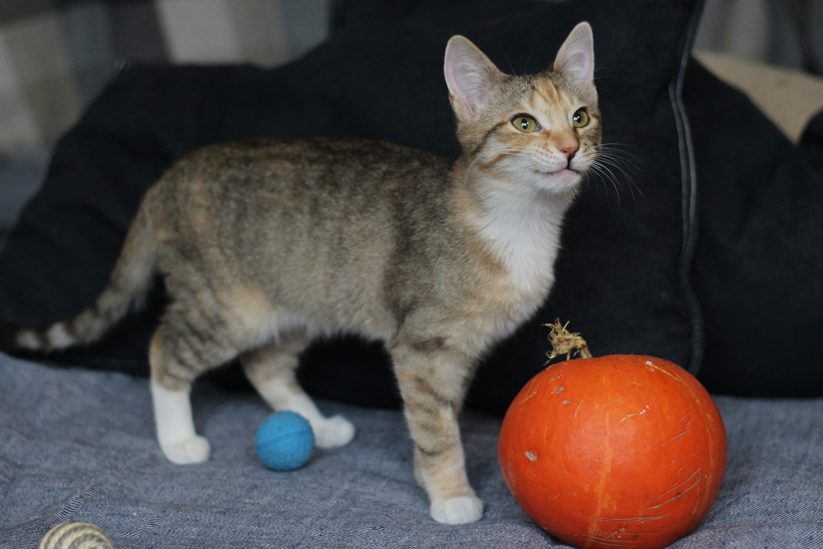 IMG_2365 — копия