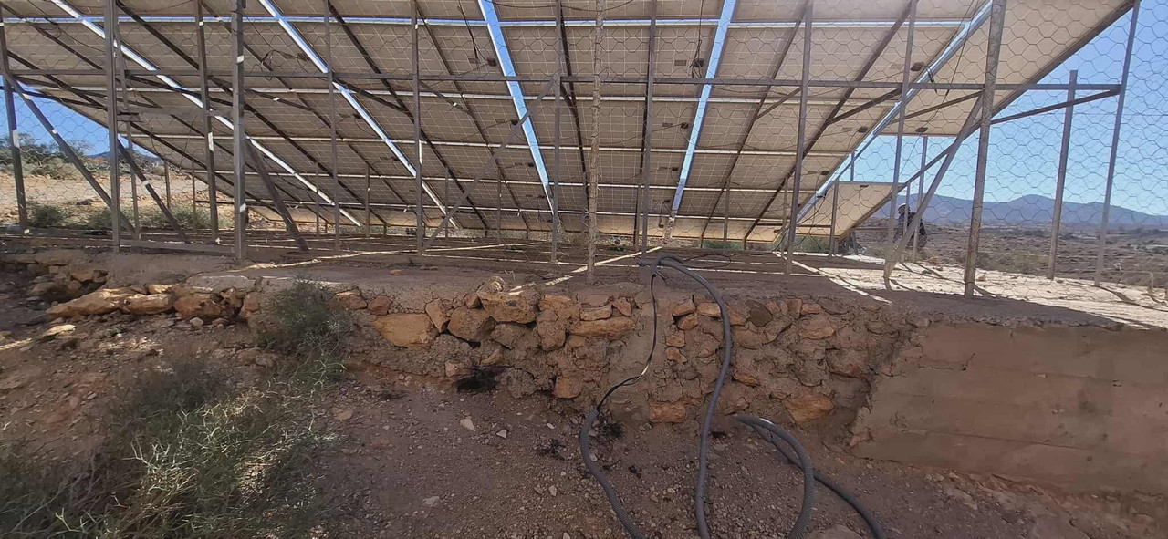 589334723-831407482839388-4442606381195838122-n