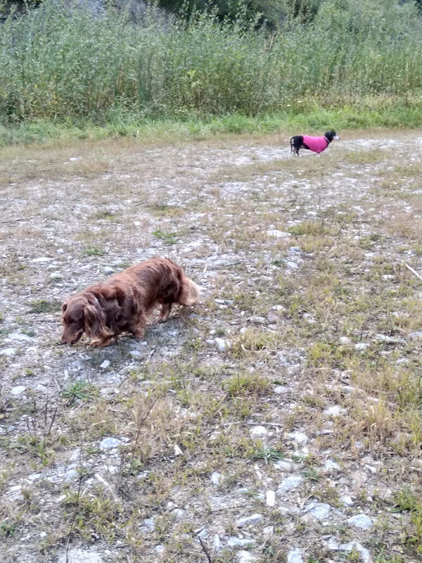 [Image: IMG-20210912-184850.jpg]