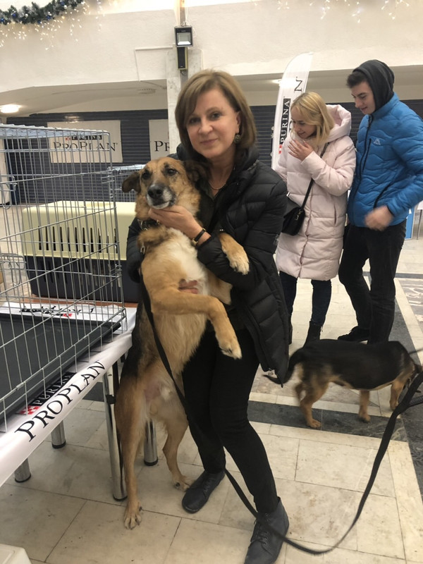 BC414FD3-A1A0-4100-A662-0676F1422A00