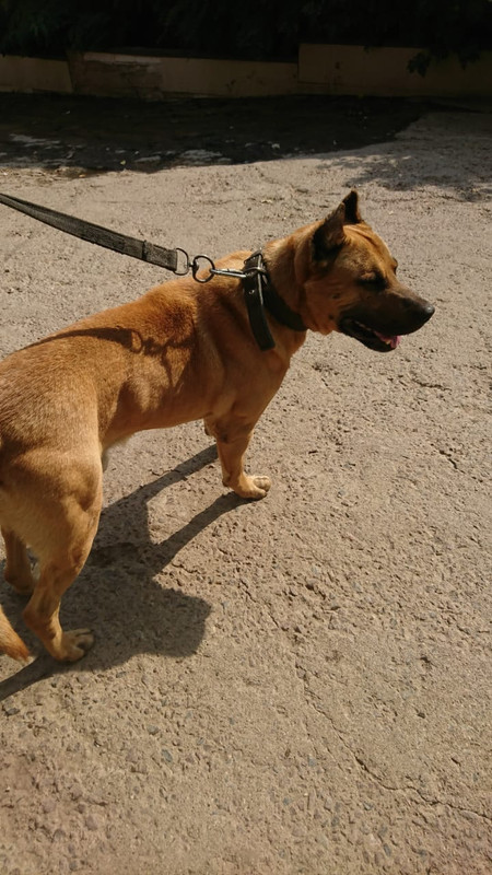 WhatsApp Image 2022-08-27 at 12.29.59 (2)